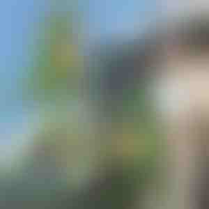 Ranac u obliku dinosaurusa | DINOBACK