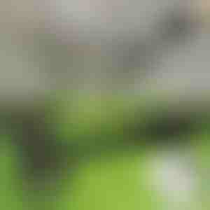 Alat za uklanjanje korova u stojećem položaju | RUNCO