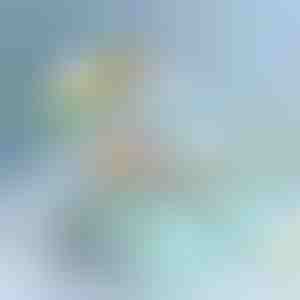 Kutija za odlaganje na više nivoa | BOKSARA