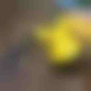 Parni čistač za dezinfekciju | VAPERO