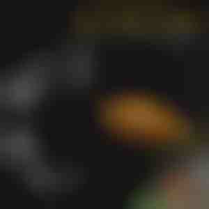 Set posuda za hranjenje akvarijuma | FINTROL