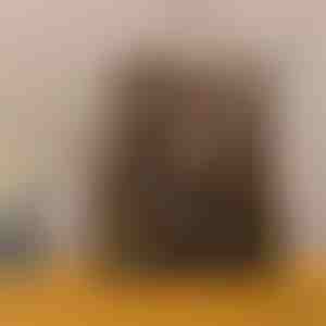 Ranac protiv krađe | ELIPACK