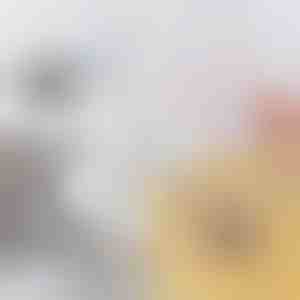 Savitljiva četka za začepljene odvode i cevi | DRAINOVA